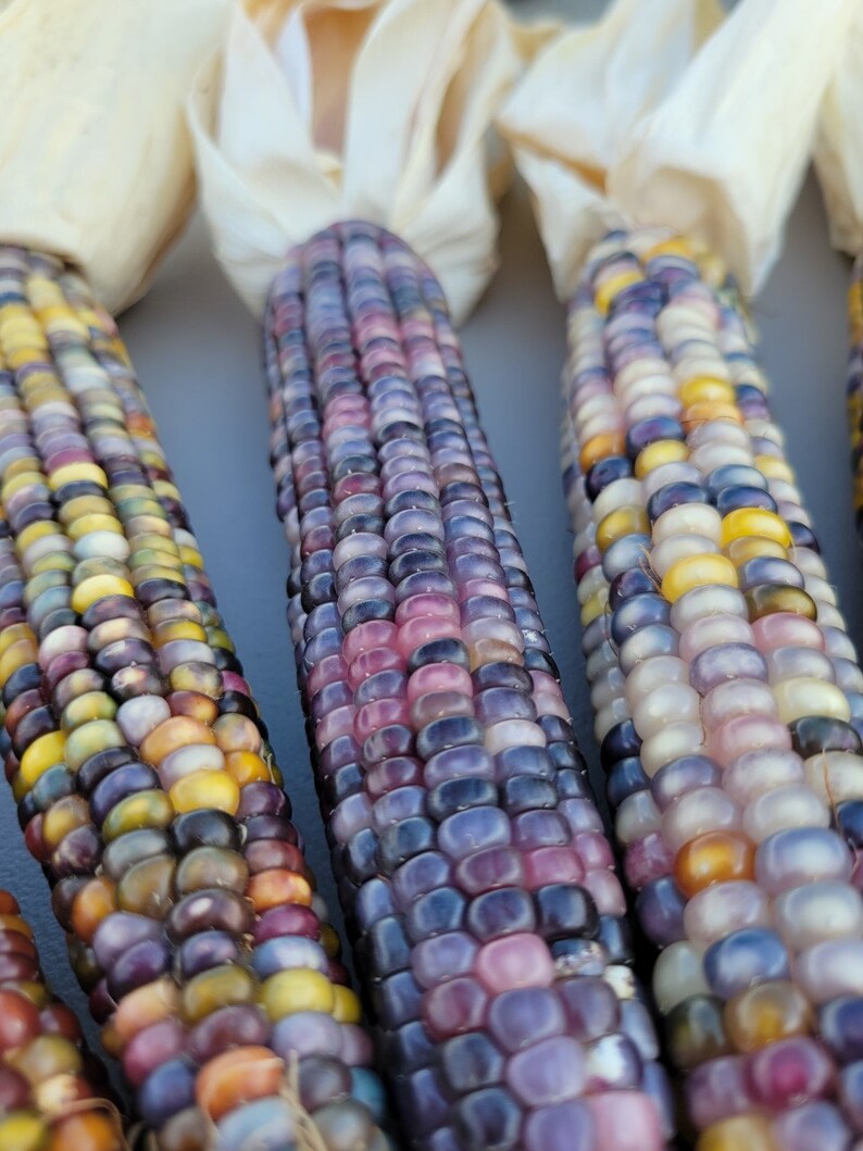 Beautiful Glass Gem Indian Corn Etsy
