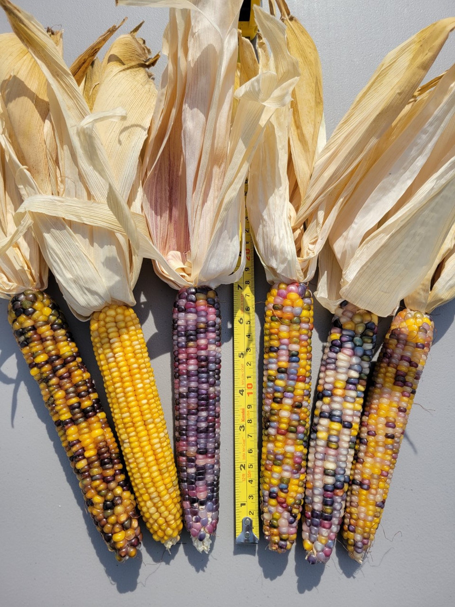 Beautiful Glass Gem Indian Corn Etsy