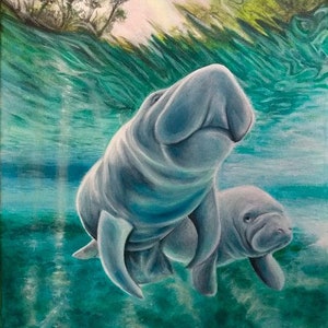 Manatee art print