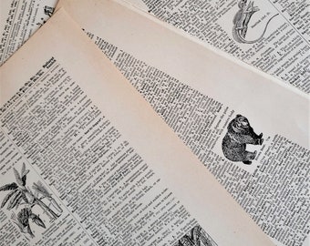 Vintage Dictionary Pages