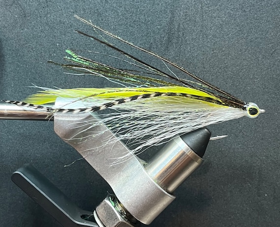 buzz bomb fishing lure mold Soft Plastiс Molds Making Injection Lures Molds 4 Cavity Micro D 2.3'' FMCL100 Works on Everything Everywhere Penn Squall Lever Drag Color:Lemonade Twist
