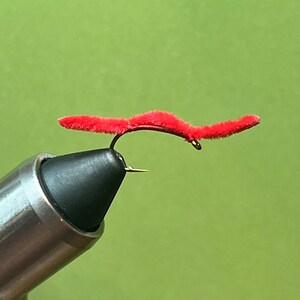 San Juan Worm