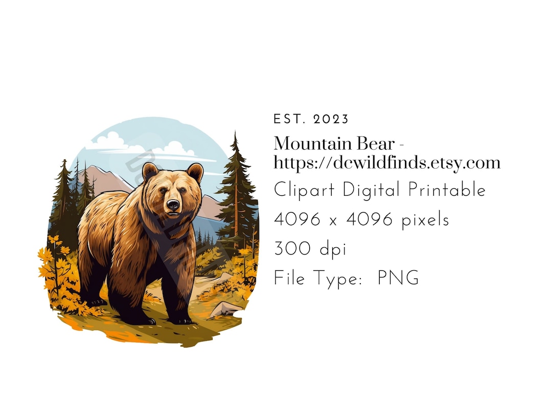 Mountain Bear Clipart, Digital, Printable, Transparent - Etsy