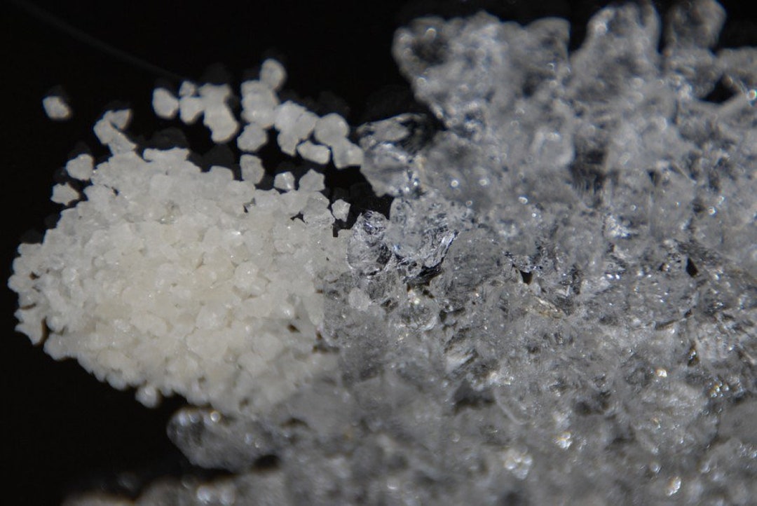 Cricket Roach Water Crystals Gel Etsy