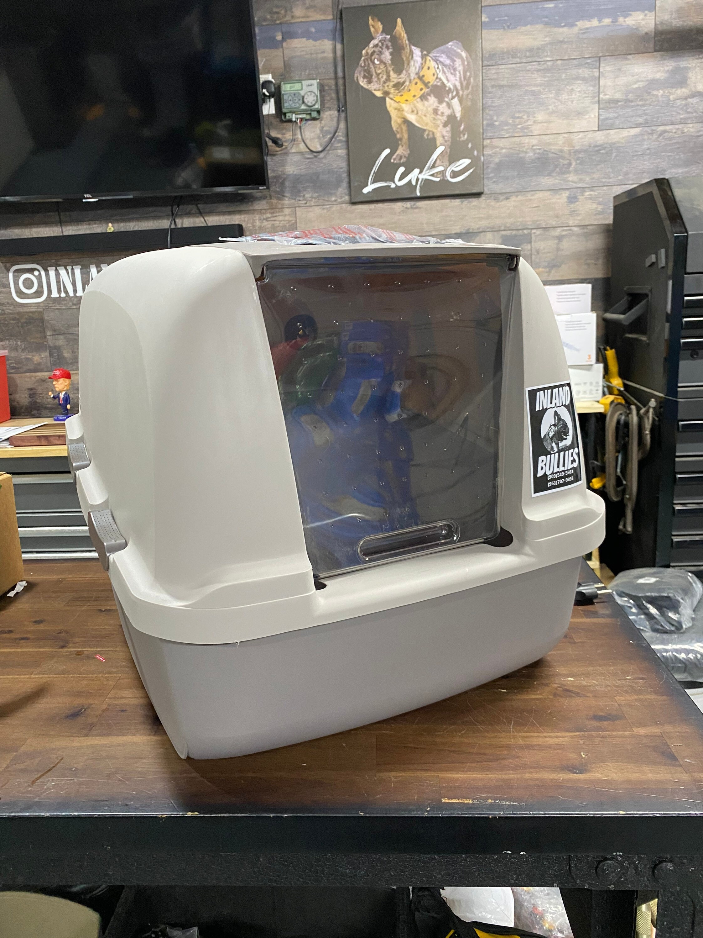 Puppy Incubator With Humidifier Etsy