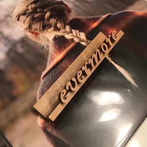 CD wall display for &quot;evermore&quot; | Customized CD wall mount