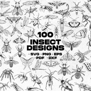 100 vintage insekts clipart-designer: SVG-paket (digital nedladdning)