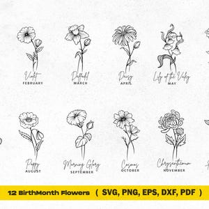 Birth Month Svg, Rose Svg, Birthday Svg, Flower Svg, Floral Svg, Daisy Svg, Poppy Svg, Floral Zodiac, Flower, Birth Month, Birthmonth.