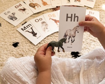 Wildtiere Alphabet: Lerntiere ABC Karteikarten