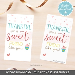 Classmates Tags, Instant Download, Thankful for a sweet friend like you, Printable Gift Tags, Classroom gift tags, thank you tags