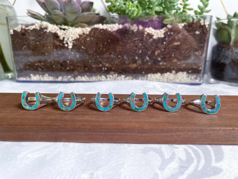 May include: Six silver rings with turquoise horseshoe designs. The rings are arranged in a row on a wooden surface.