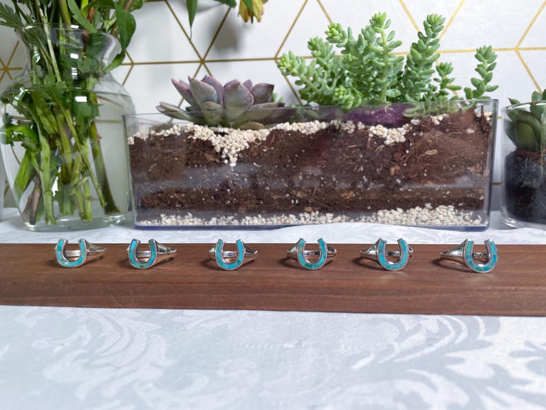 May include: Six silver rings with turquoise horseshoe designs. The rings are arranged in a row on a wooden surface.