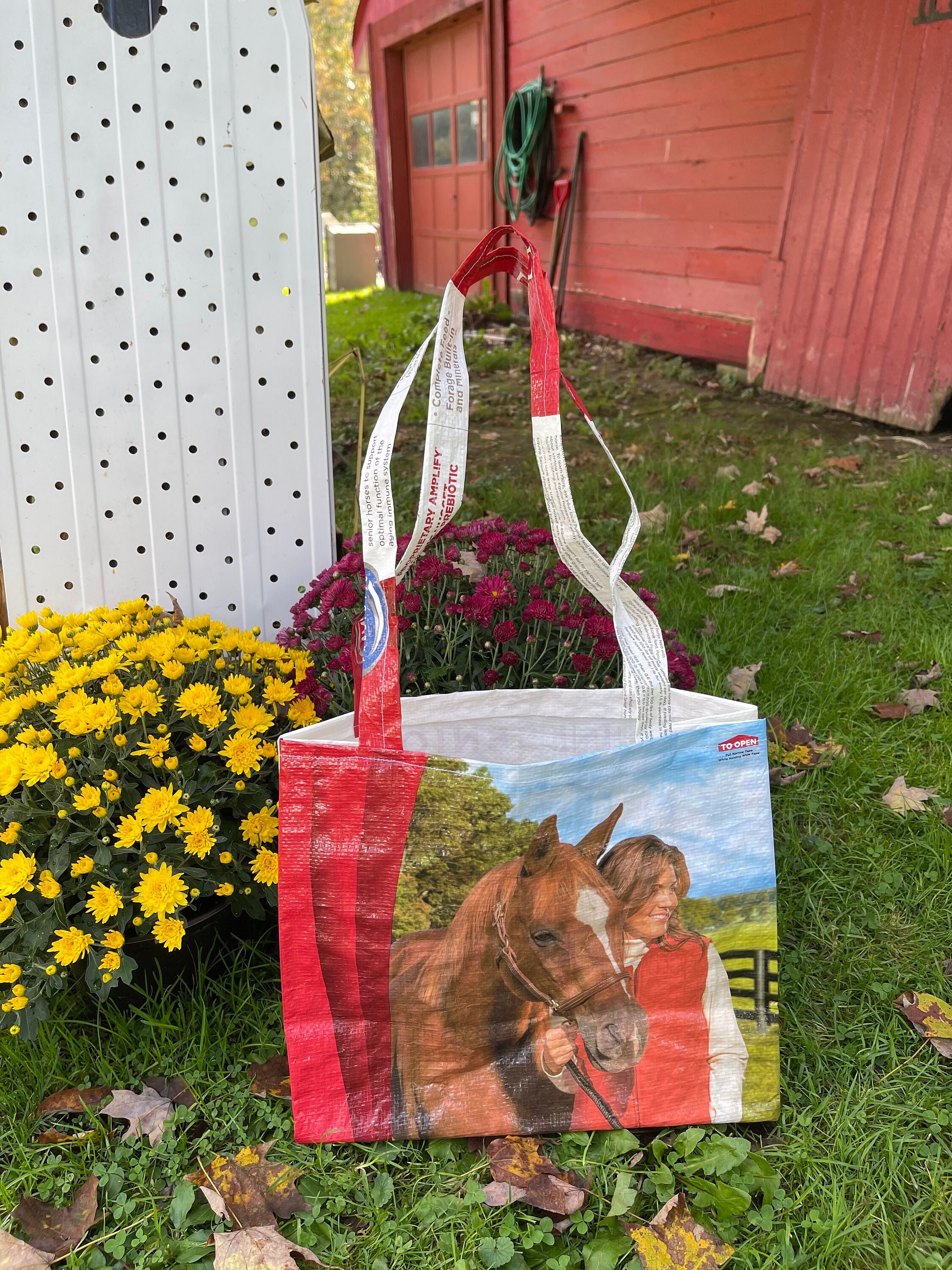 Small Horse Feed Tote W/ Long Straps