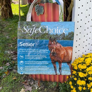 SafeChoice Tote Bag