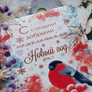 Puede incluir: Tarjeta de felicitación con un tema invernal. Presenta un pinzón rojo posado sobre bayas rojas, rodeado de copos de nieve y ramas de pino. El texto en ruso dice "Feliz Año Nuevo".