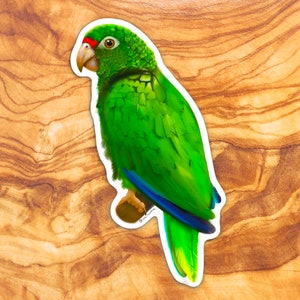 Cotorra Puertorriqueña, Puerto Rican Parrot Sticker, Iguaca, Puerto Rico, Bird Art, Bird Sticker, Die-cut Sticker, Waterproof, Vinyl Sticker