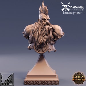 Dwarf Berserker Flint Hammerfell Bust - 50 mm Tabletop Miniature RPG