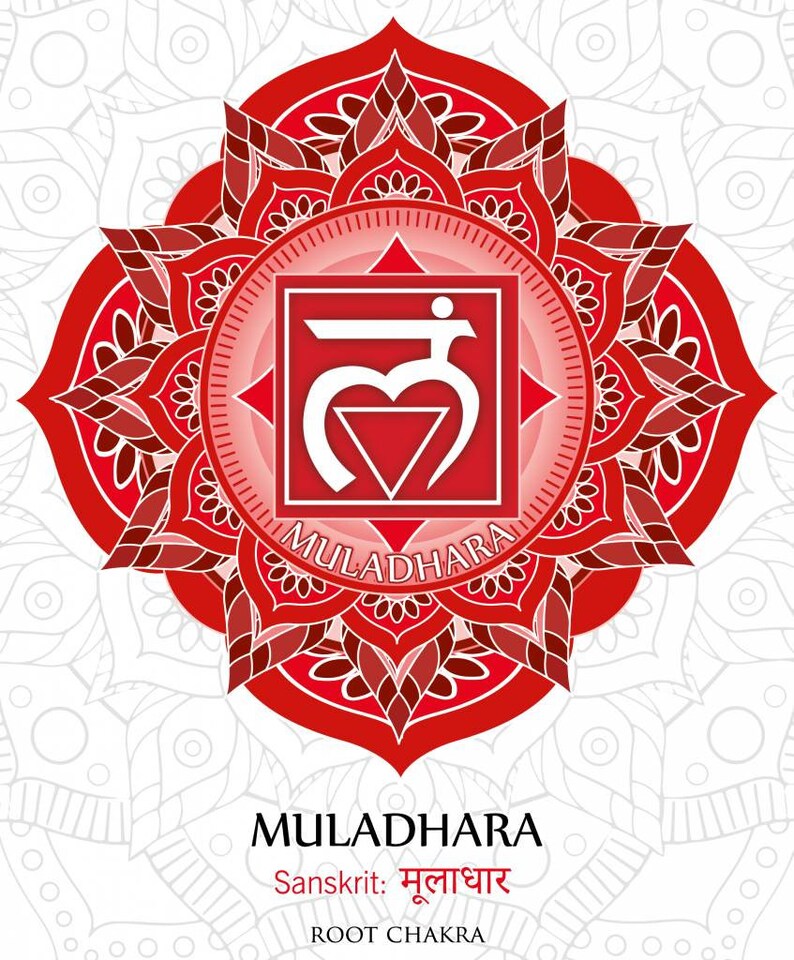 Puede incluir: Un mandala rojo y blanco con la palabra s&aacute;nscrita "MULADHARA" escrita en un c&iacute;rculo alrededor de un s&iacute;mbolo rojo. El texto "MULADHARA" est&aacute; escrito debajo del mandala en texto negro. El texto "Sanskrit: मुलाधार" est&aacute; escrito debajo de la palabra "MULADHARA" en texto negro. El texto "ROOT CHAKRA" est&aacute; escrito debajo del texto s&aacute;nscrito en texto negro.