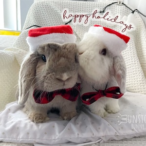 Christmas Santa Hat and Bow Set for Small Pets/ Bunnies / Guinea Pigs / Chinchillas