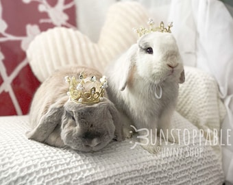 Crown for Bunnies / Small pets