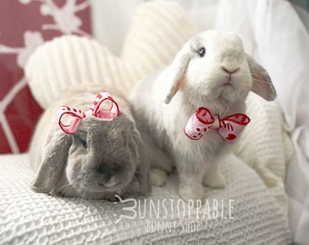 Valentine's Day Heart Bow for Bunnies / Small pets