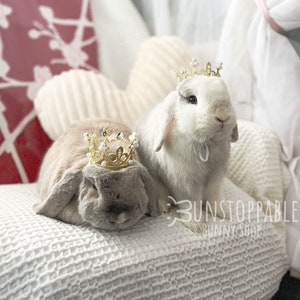 Crown for Bunnies / Small pets