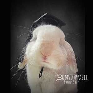 Graduation Hats for Bunnies/ Rabbits / Small Pets