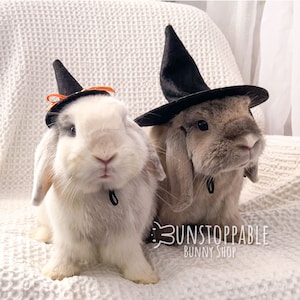 Witch Hat for Small Pets/ Bunnies / Guinea Pigs / Chinchillas