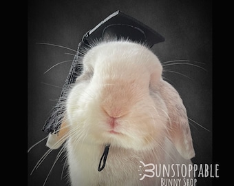 Graduation Hats for Bunnies/ Rabbits / Small Pets