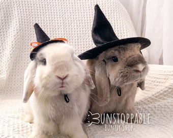 Witch Hat for Small Pets/ Bunnies / Guinea Pigs / Chinchillas