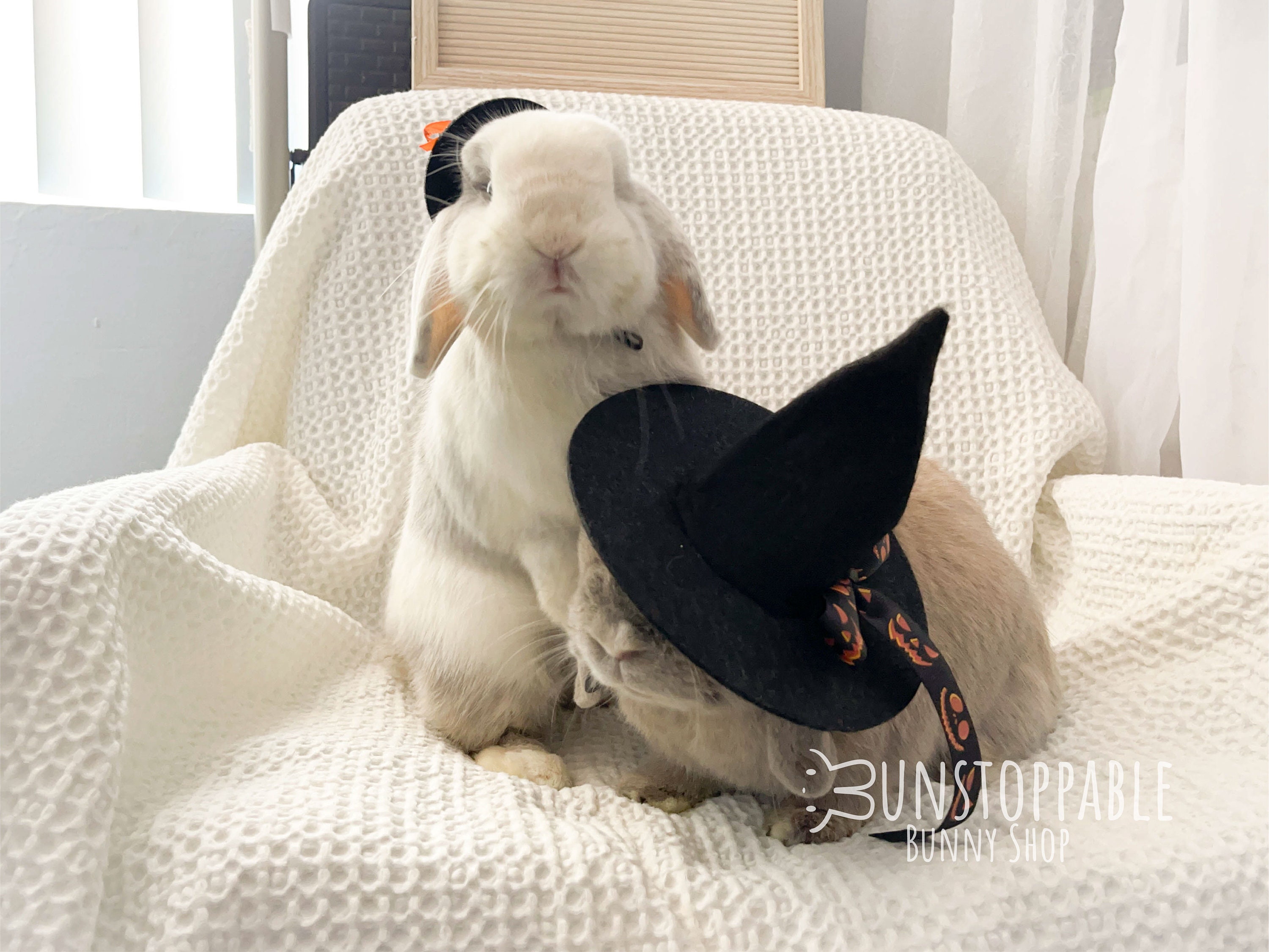 Cute Mini Pet Hat Cap Headdress Halloween Witch Hat Accessories for Small  Animals Bunny Chinchilla Hamster Cosplay Clothing