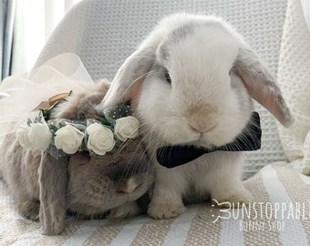 Wedding Flower Crown and Bow for Bunnies / Small Pets / Guinea Pigs / Chinchillas