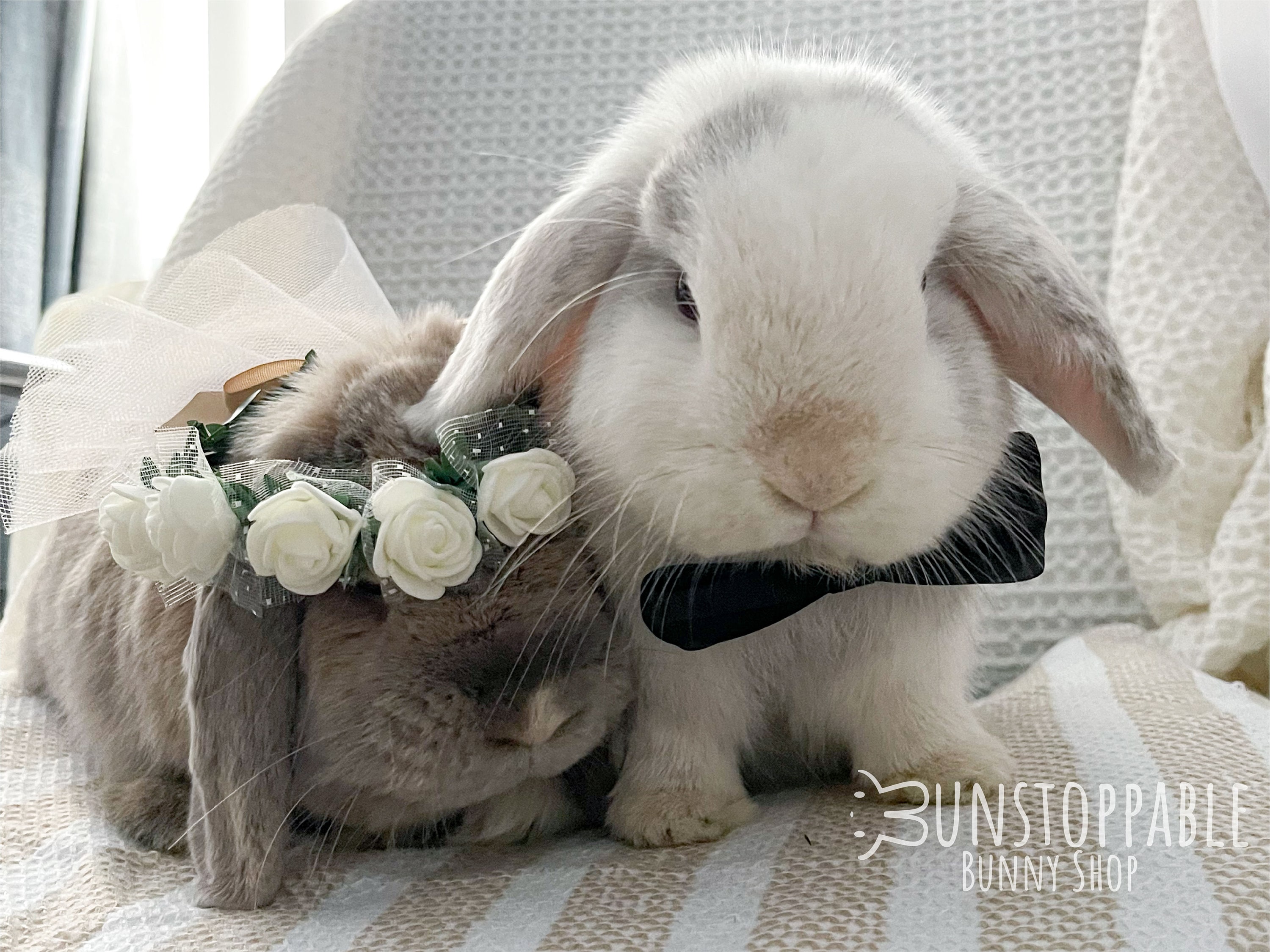 Wedding Flower Crown and Bow for Bunnies / Small Pets / Guinea Pigs /  Chinchillas - Etsy, image size:3000x2250