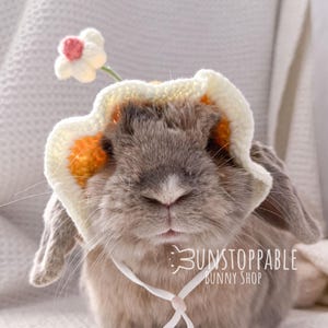 Crochet Hat with Flower for Bunnies / Small pets / Cats / Small Dogs