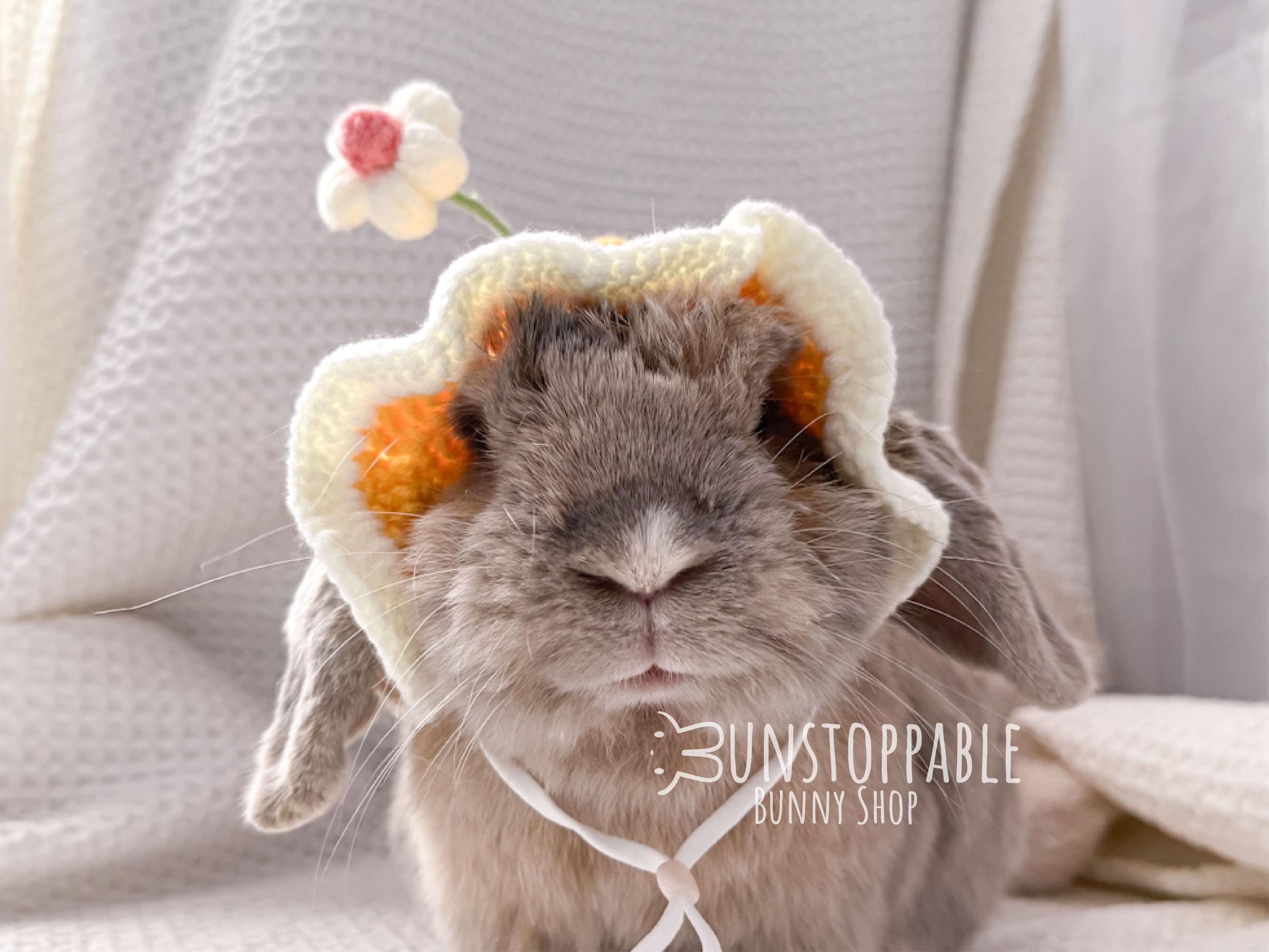 Pet Bunny Hats Canada
