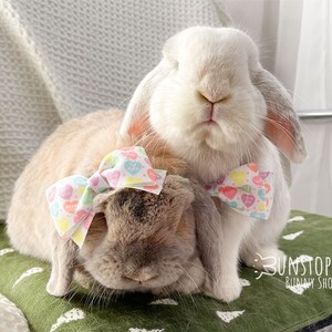 rabbit accessories home