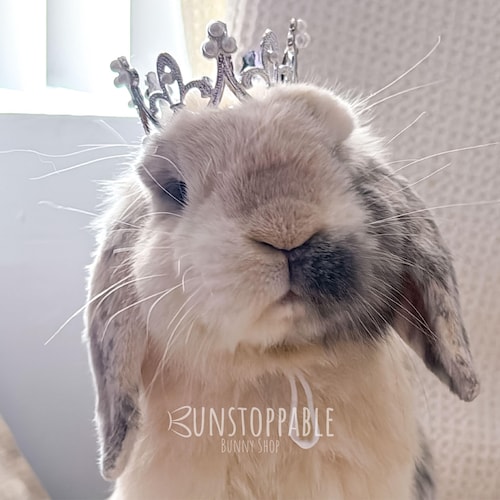 Kroon voor konijnen / kleine huisdieren / zilveren en gouden kronen
