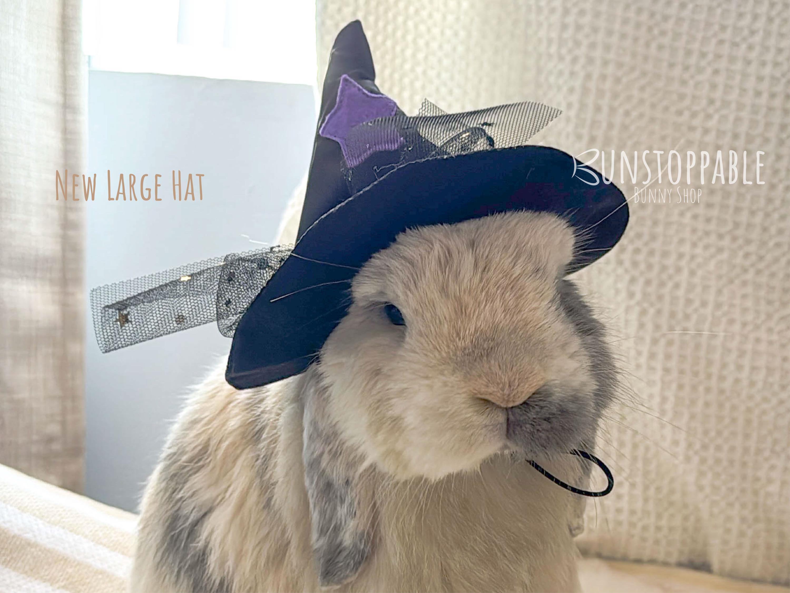 Witch Hat for Small Pets/ Bunnies / Guinea Pigs / Chinchillas - Etsy