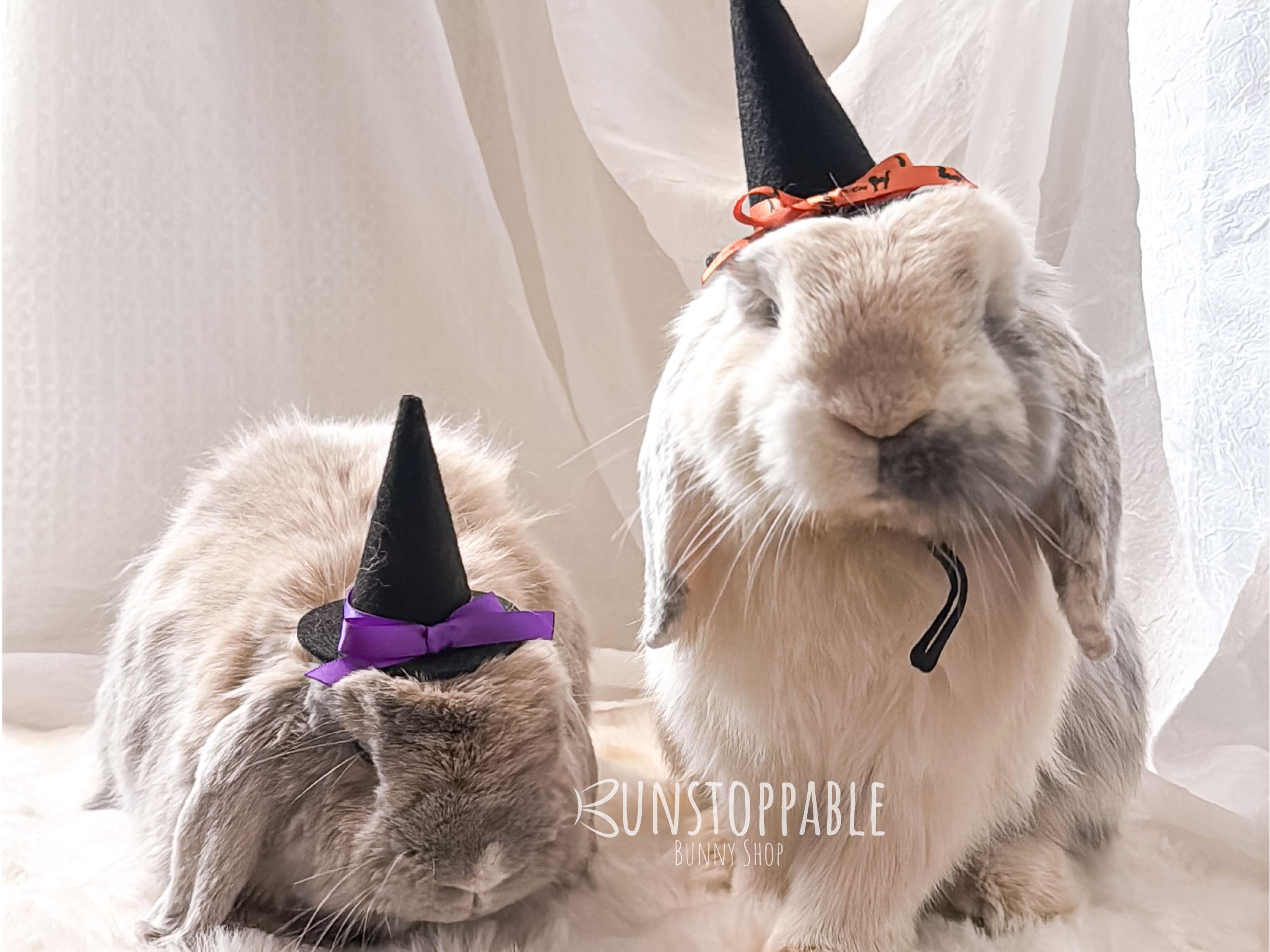 Witch Hat for Small Pets/ Bunnies / Guinea Pigs / Chinchillas - Etsy