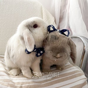 Star Print Bow for Bunnies / Small Pets / Guinea Pigs / Chinchillas