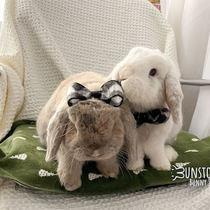 Black White Flannel Bow for Bunnies / Small Pets / Guinea Pigs / Chinchillas
