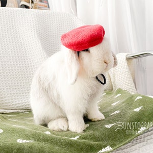 Fleece Berets for Bunnies / Small Pets / Guinea Pigs / Chinchillas