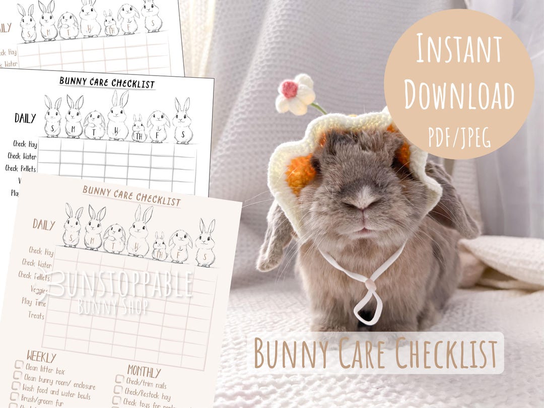 Printable Bunny Care Checklist / to Do List – Rabbit Care Guide for ...