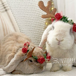 Reindeer Flower Crown for Rabbits/ Small pets