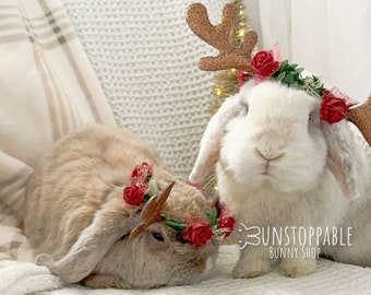 Reindeer Flower Crown for Rabbits/ Small pets