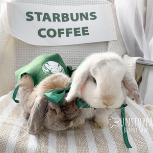 Starbuns Pet Aprons for Bunnies / Small Cats / Small Pets