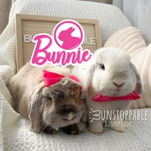 Bunnie - Pink Waterproof Vinyl Stickers and pink bow