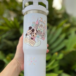 Small World 30oz Stanley Dupe.
