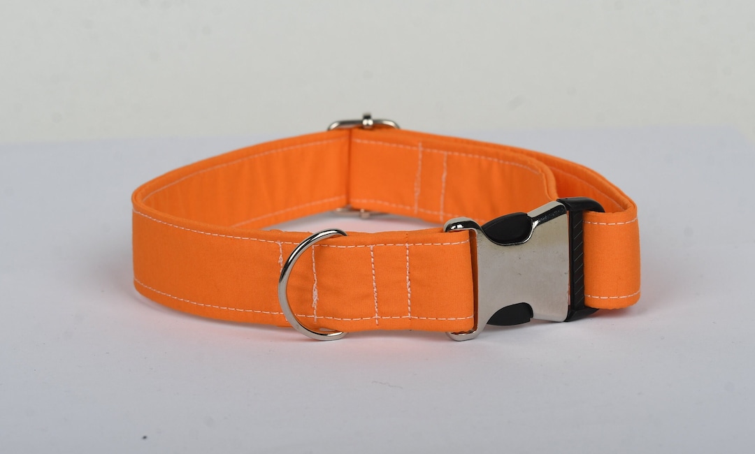 Orange Dog Collar, Puppy Collar, Boy Dog Collar, Custom Dog Collar