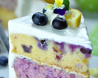 BEST RECIPE For Lemon Blueberry Cheesecake Cake Download.